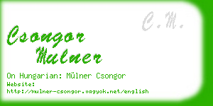 csongor mulner business card