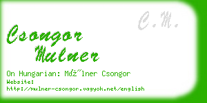 csongor mulner business card